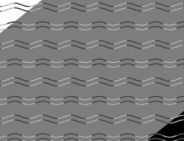 Οπτική ψευδαίσθηση: Εσείς βλέπετε καμπύλες ή γωνίες; (φωτο)